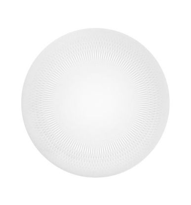 Picture of New Service Plate 12"