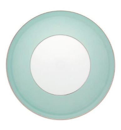 Picture of New Service Plate 12"