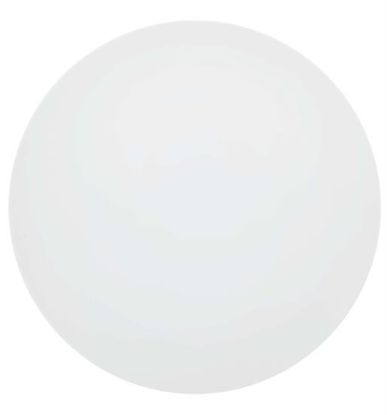 Picture of New Service Plate 12"