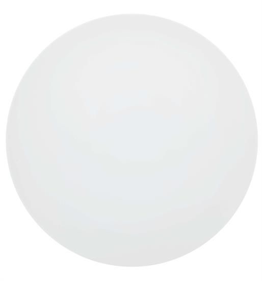 Picture of New Service Plate 12"