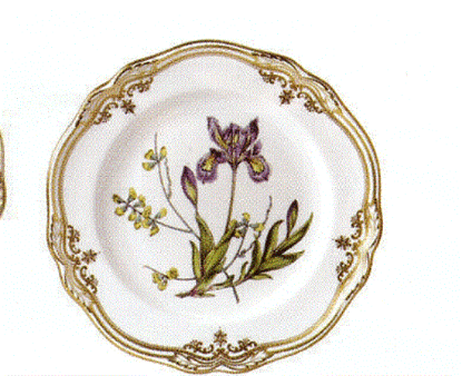 Picture of Dinner Plates