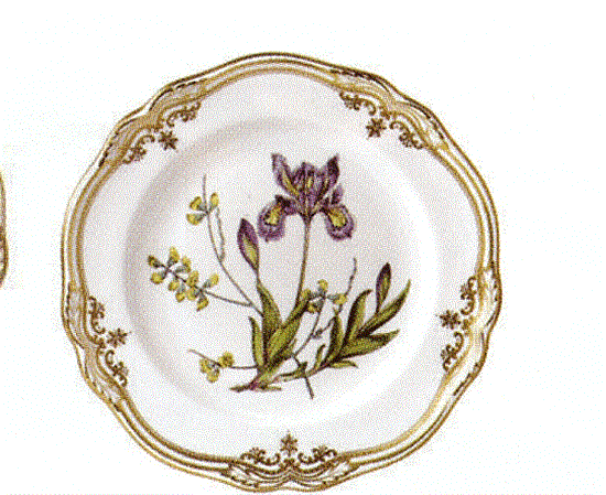 Picture of Dinner Plates