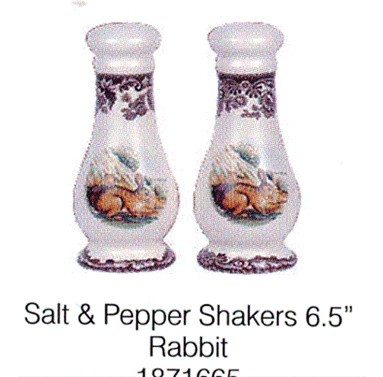 Picture of New Salt Shaker