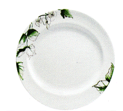 Picture of New Oval Plat. 16"