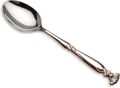 Picture of New Stuffing Spoon Hh