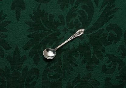 Picture of Ind. Salt Spoon