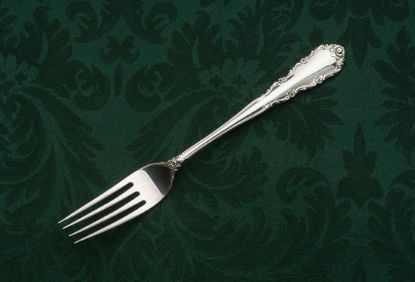 Picture of Place Forks