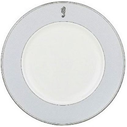Picture of Dinner Plates