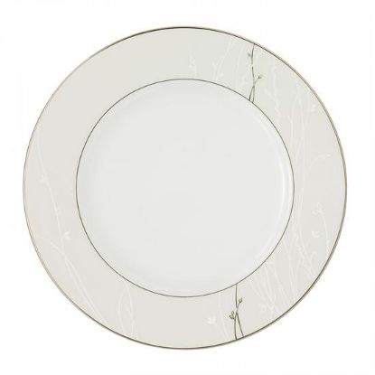 Picture of Dinner Plates