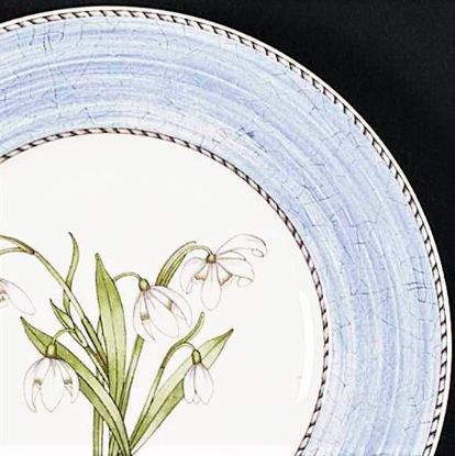 Picture of Dinner Plates