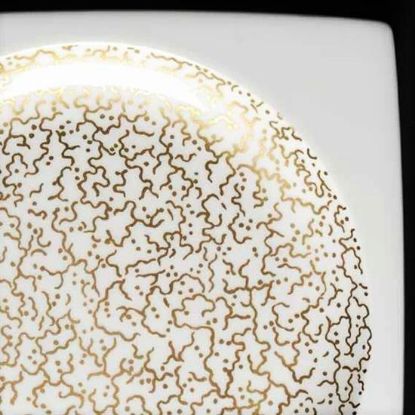 Picture of Dinner Plates