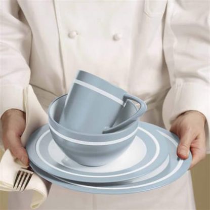 Picture of Dinner Plates