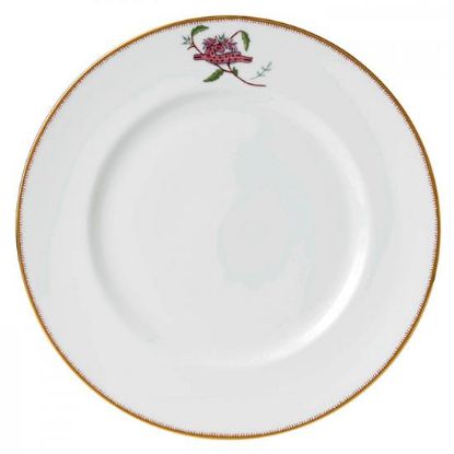 Picture of New Dinner Plate