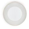 Picture of New Dinner Plate