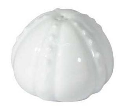 Picture of New Salt Shaker