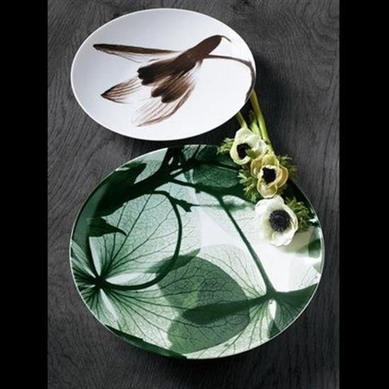 Picture of Dinner Plates