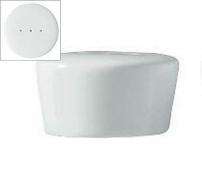 Picture of New Salt Shaker