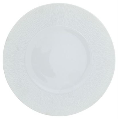 Picture of New Service Plate 12"