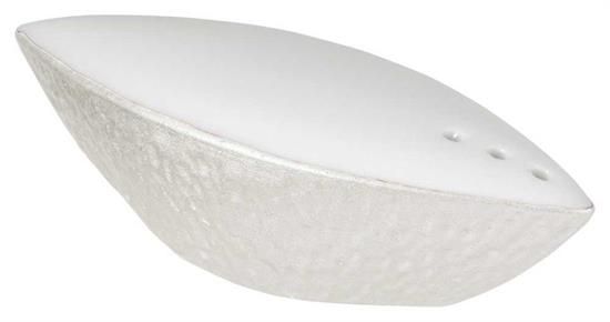 Picture of New Salt Shaker