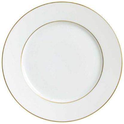 Picture of New Service Plate 12"