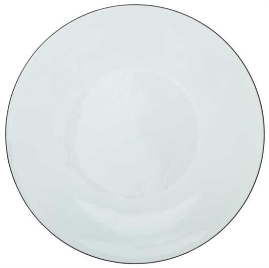 Picture of New Service Plate 12"