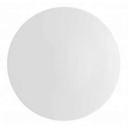 Picture of New Service Plate 12"