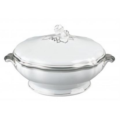 Picture of New Cov.veg.bowl