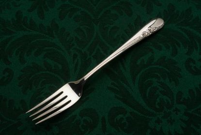 Picture of Place Forks