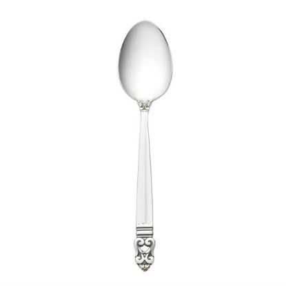 Picture of New Place Spoon