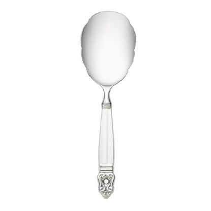 Picture of New Rice Server Hh