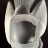 Picture of Lalique ,Sparrow With Head Under Wing.