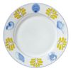Picture of Dinner Plates