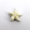 Picture of Kingspoint Designs Dream the White Starfish Mini Trinket Box