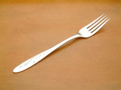 Picture of Place Forks: