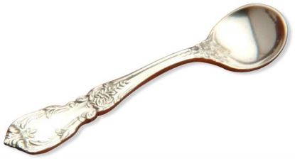 Picture of Ind. Salt Spoon
