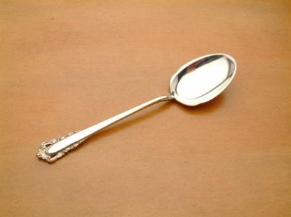 Picture of Sugar Spoon: