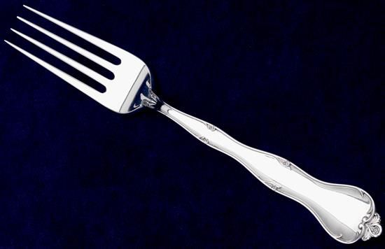 Picture of Place Forks