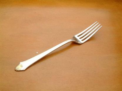 Picture of Place Forks