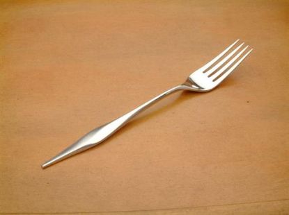 Picture of Place Forks: