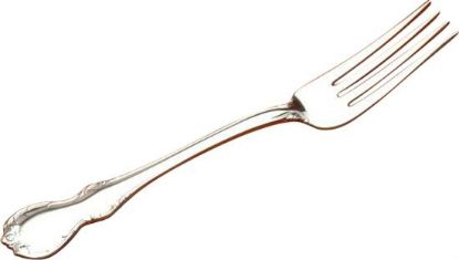 Picture of Place Forks