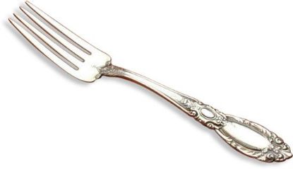 Picture of Place Forks