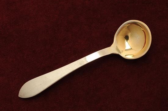 Picture of Ind. Salt Spoon