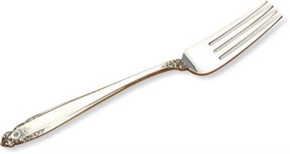 Picture of Place Forks