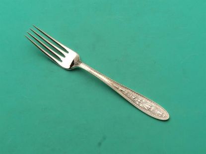 Picture of Place Forks