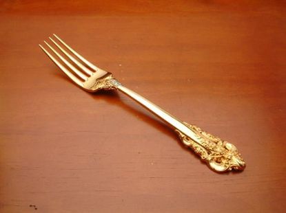 Picture of Place Forks: