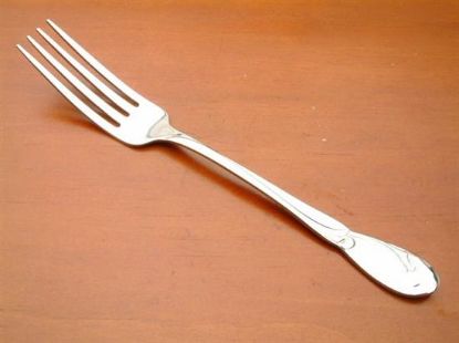 Picture of Place Forks: