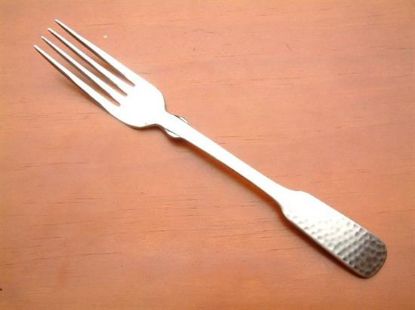 Picture of Place Forks: