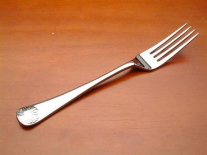 Picture of Place Forks