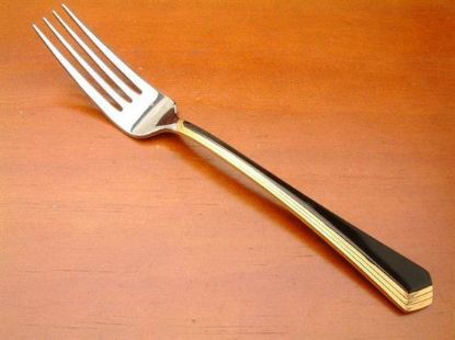 Picture of Place Forks: