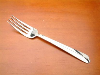 Picture of Place Forks: